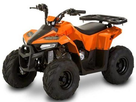 Mudhawk 6 Gas Atv 110cc 4 Stroke - Tao Motors on Sale