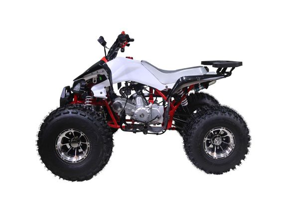 ATV TAO MOTORS - CHEETAH PRO - 125cc AUTOMATIC Online Hot Sale