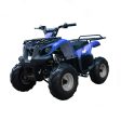 ATV TForce 125CC - Tao 2025 Online now