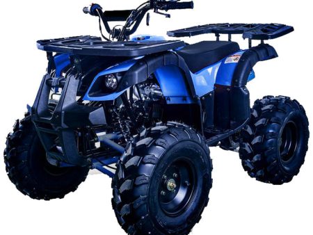 Apollo Mx Rider 125cc Atv Hot on Sale