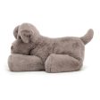 Jellycat Huggady Dog Online Sale