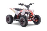 Apollo SANO COBRA 1000w Kids Atv Sale