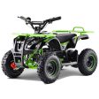 APOLLO VRX-TIGER  36v 800w KIDS ATV For Cheap