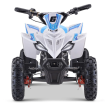 Apollo Sano Cobra 36v 800W Electric ATV Online Hot Sale