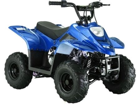 GIO Blazer 110cc Gas Atv For Sale