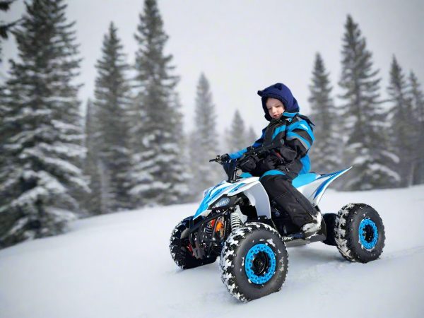 Apollo Sano Cobra 36v 800W Electric ATV Online Hot Sale