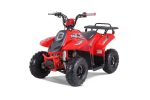 2024 Rock 110cc Gas ATV With Reverse - Tao Motors on Sale