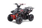 2024 Rock 110cc Gas ATV With Reverse - Tao Motors on Sale