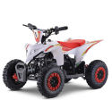 Apollo Sano Cobra 36v 800W Electric ATV Online Hot Sale