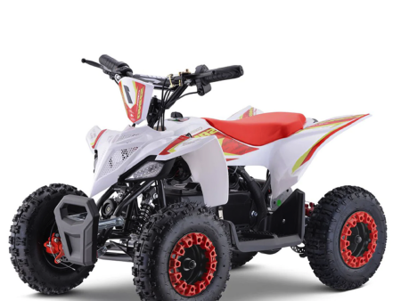 Apollo Sano Cobra 36v 800W Electric ATV Online Hot Sale