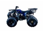 Apollo Mx Rider 125cc Atv Hot on Sale