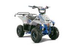 Boulder 110B, Kids Atv & Gas Quad 110cc - Tao Motors Supply