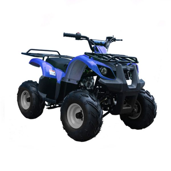 ATV TForce 125CC - Tao 2025 Online now